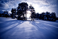winter_landscape_4467