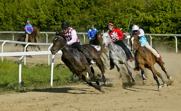 horse-race