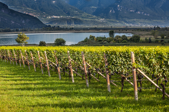 italy-southtirol-wine-lake-0047