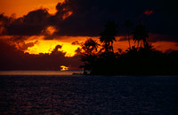 karibik-sunset-meer-palmen